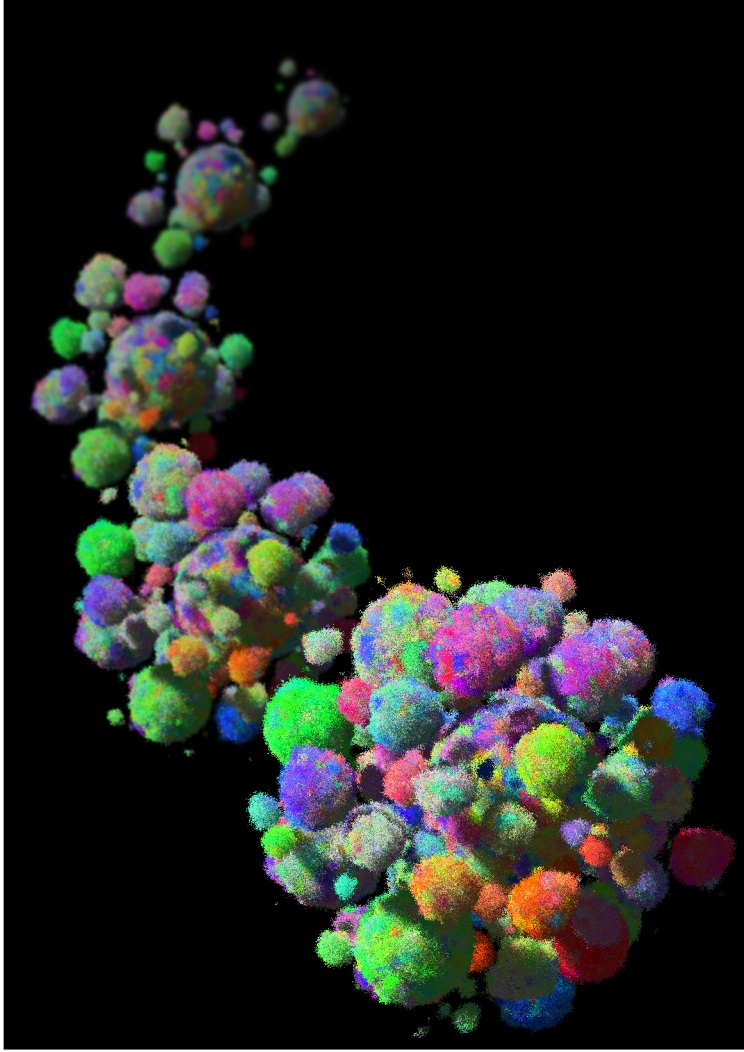 Different colours correspond to cells harbouring different mutations. The more similar the colours, the more genetically similar are the cells.