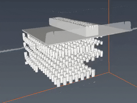 Reconstruction of the slices allows the construction of a 3D model. The model was made using the Avizo software package.