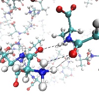 Figure 5: Bifurcated HC-O