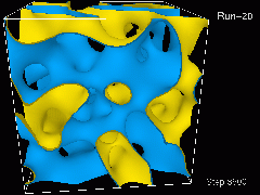 Figure 1: Binary fluid mixture undergoing demixing