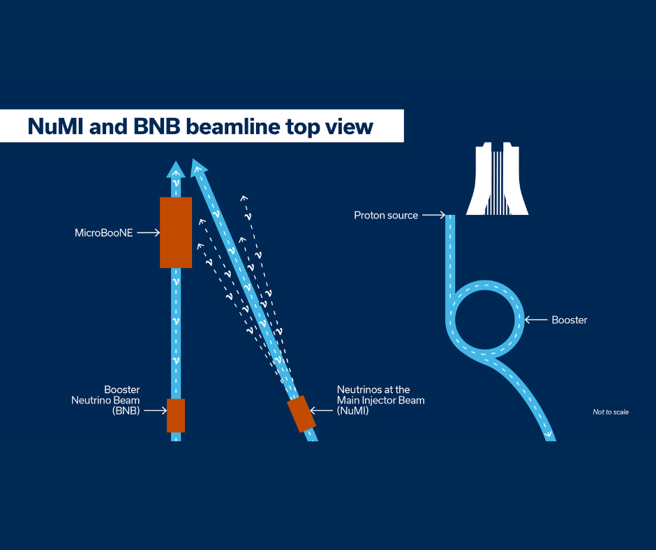 Credit: Samantha Koch, Fermilab