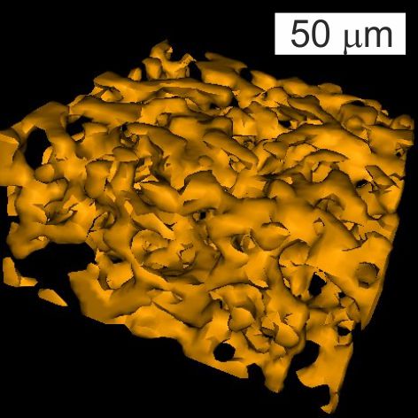 3D rendering of bicontinuous bijel structure, which inspired one of the four template architectures investigated