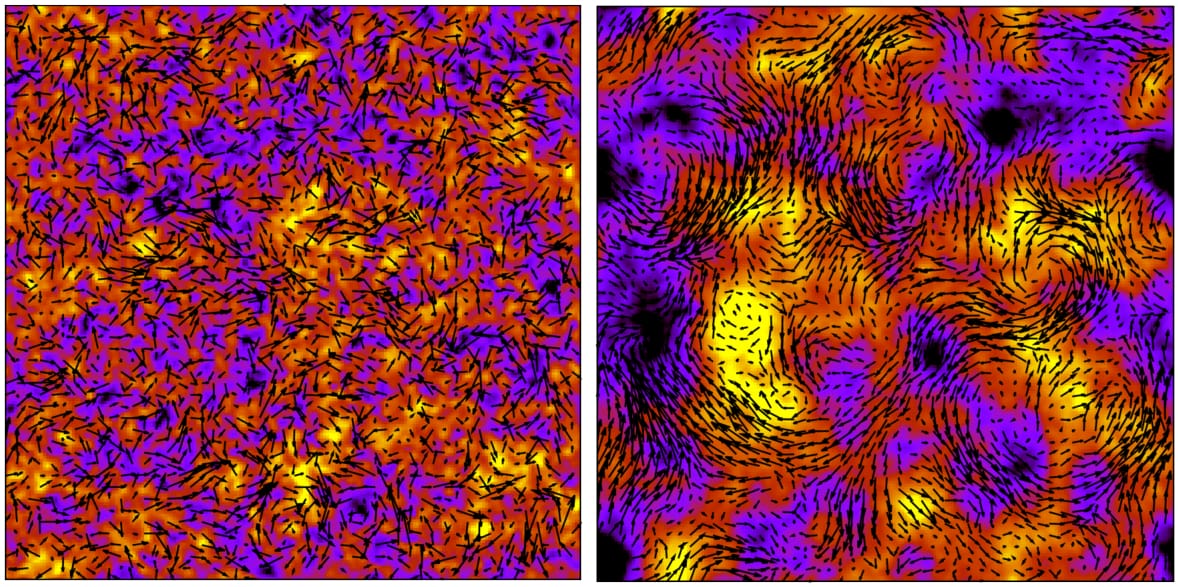 Snapshots showing the fluid velocity from Lattice Boltzmann simulations of pusher suspensions and the transition to turbulence. The vectors denote the in-plane fluid velocity, while the colour map shows the out-of-plane component.