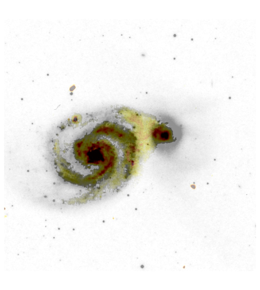 It is 15-35 million light years from Earth and around 60,000 light years in diameter. At the centre of the spiral galaxy there sits a supermassive black hole. With the LOFAR data (yellow and red hues), we can see that the spiral galaxy and its companion are interacting because there is a bridge of emission joining them. Credit: Sean Mooney/LOFAR Surveys Team/Digitized Sky Survey