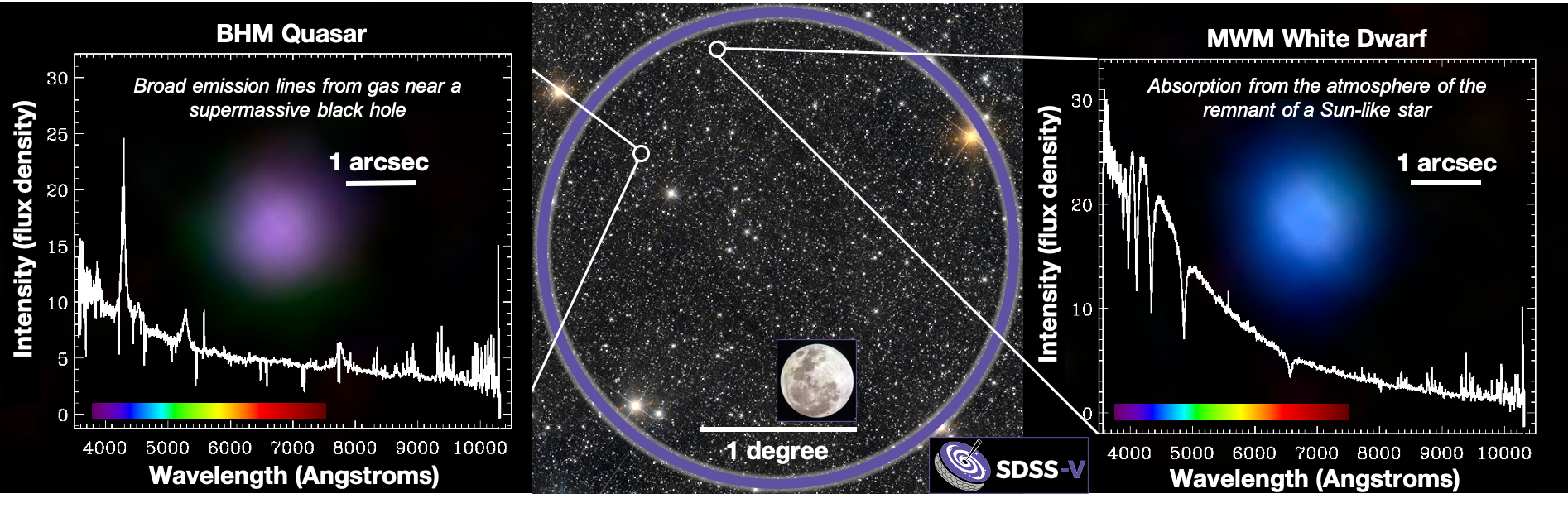 CENTRAL IMAGE: a single field of SDSS-V observations. Purple circle indicates the telescope’s field-of-view on the sky, with the full Moon shown as a size comparison.  LEFT: optical-light spectrum of a quasar. RIGHT: image and spectrum of a white dwarf. CREDITS: Hector Ibarra Medel, Jon Trump, Yue Shen, Gail Zasowski, and the SDSS-V Collaboration. Central background image: unWISE / NASA/JPL-Caltech / D.Lang (Perimeter Institute).