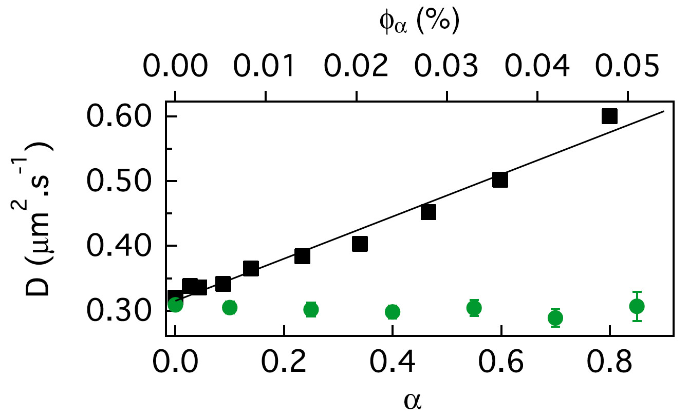 Figure from Wilson et al. (article 018301) showing their measurement of the diffusion coefficient, D, of non-motile bacteria (vertical axis) in a suspension of motile organisms (volume fraction φα given by the upper axis), demonstrating an enhancement of D by the motile organisms. Both D and φα were measured using their new high-throughout method of differential dynamic microscopy.