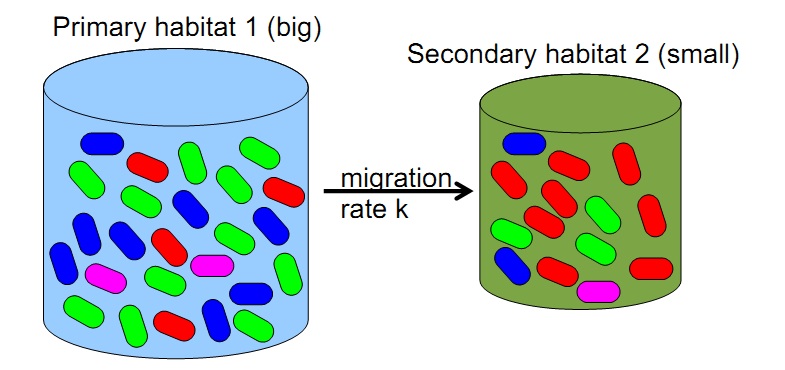 Microbes with different genomes are represented in different colours; these can exchange by mutation. The two habitats are connected by one-way migration. In each of the two habitats, the environment favours a different microbial genome.