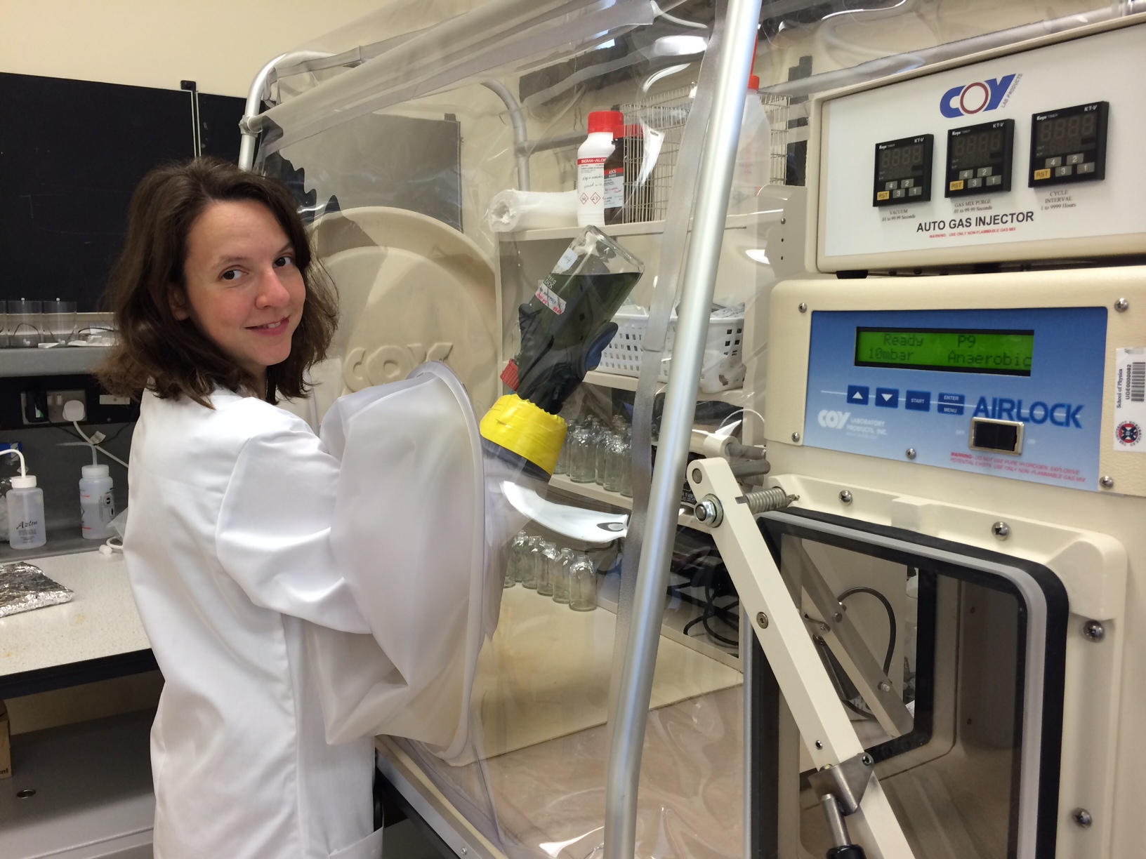 Petra Schwendner working in the anaerobic chamber.