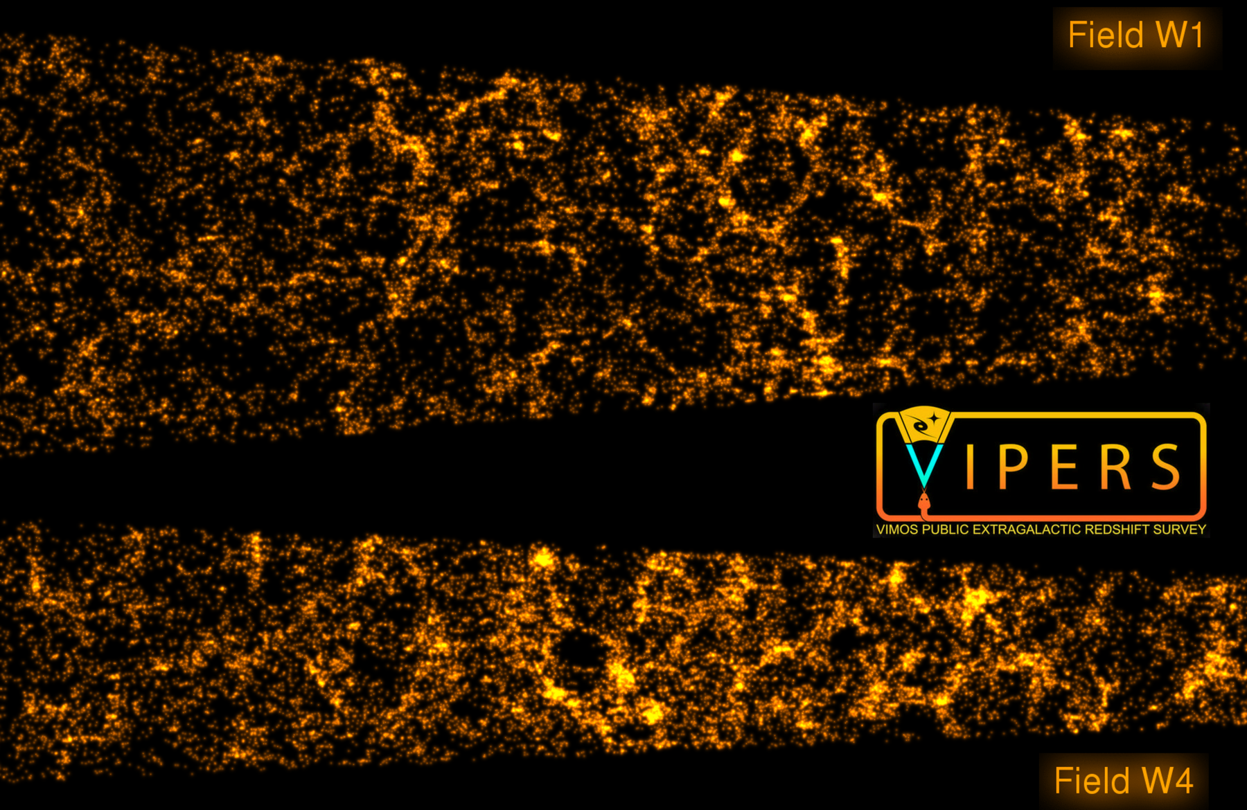 The structure in the galaxy distribution in two VIPERS fields. The long axis of these slices is in the direction of the line of sight, and covers a length of approximately 6 billion lightyears (redshift 0.4 to 1.1: back to a time when the Universe was only half its present size). Even at that time, gravity had pulled together filaments of matter into structures that are so large that light would take hundreds of millions of years to travel from one end to the other.