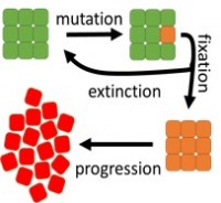 A cartoon drawing of cancer initiation and progression. Green squares = normal cells, orange squares = pre-cancer (neoplastic) cells, red = cancer cells. 