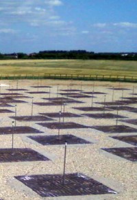 Some of the Chilbolton LOFAR antennas.