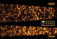 The structure in the galaxy distribution in two VIPERS fields.